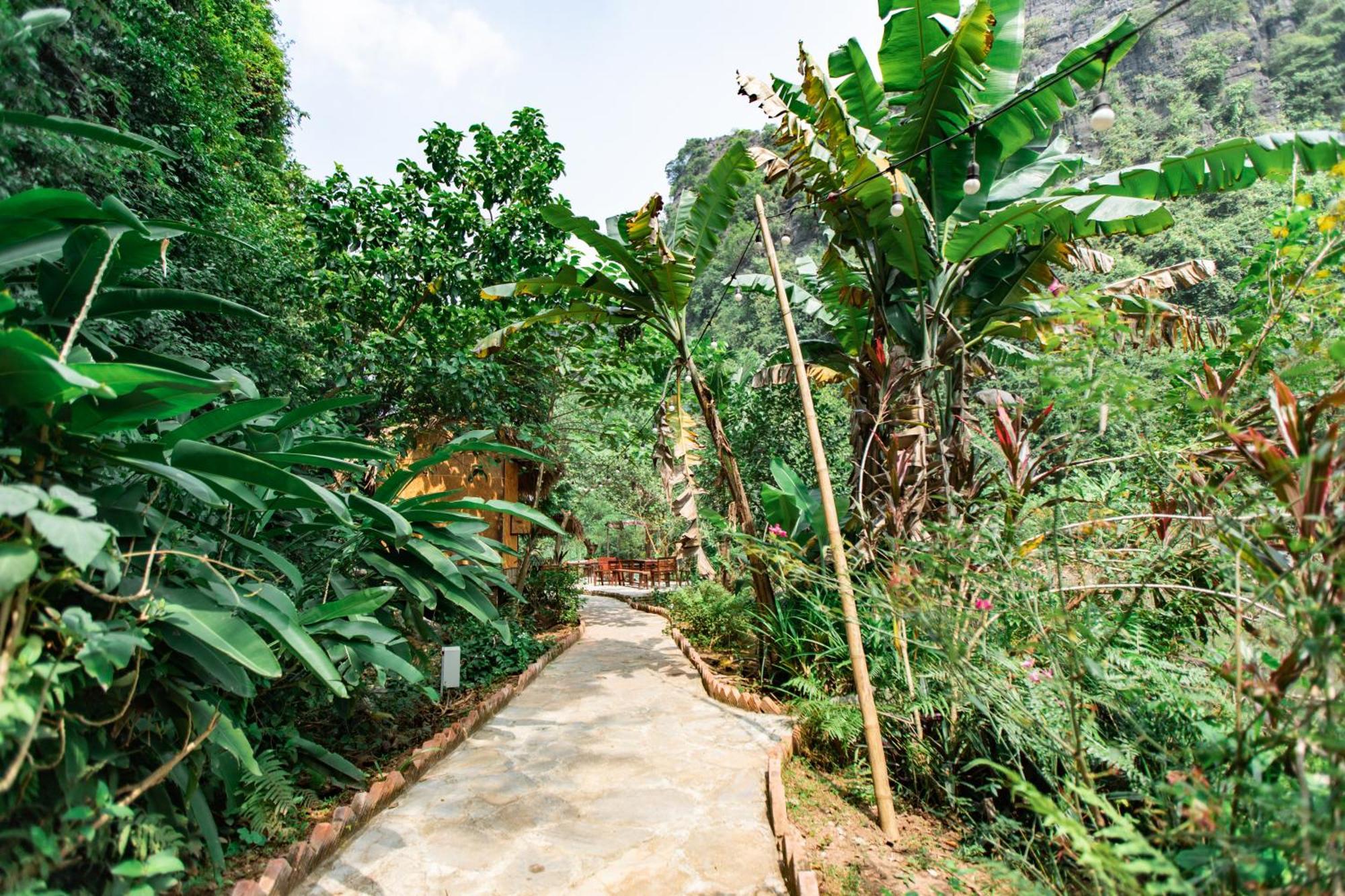 Thung Sen Tam Coc Chalets Ninh Binh Dış mekan fotoğraf