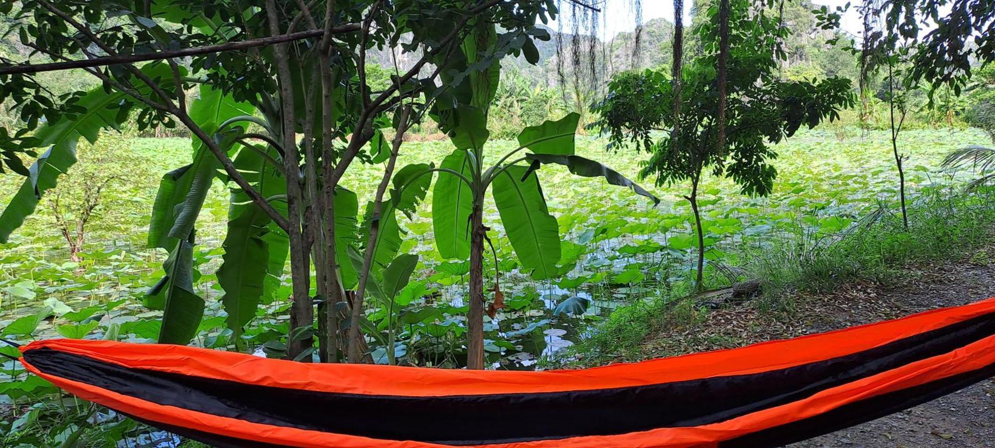 Thung Sen Tam Coc Chalets Ninh Binh Dış mekan fotoğraf